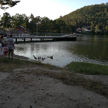 Penzion Diana Machovo Jezero Staré Splavy Exterior foto