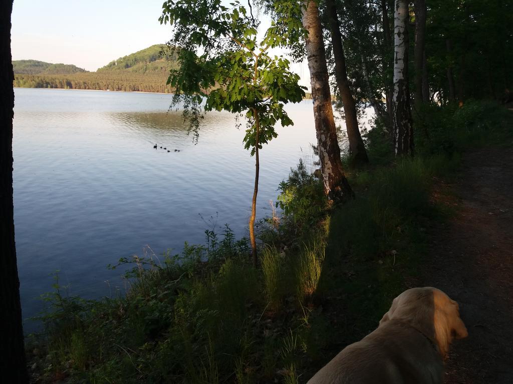 Penzion Diana Machovo Jezero Staré Splavy Exterior foto